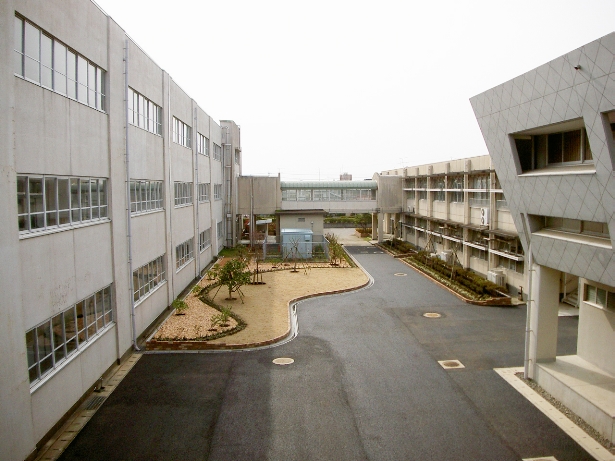 学校の外構・中庭の植栽工事