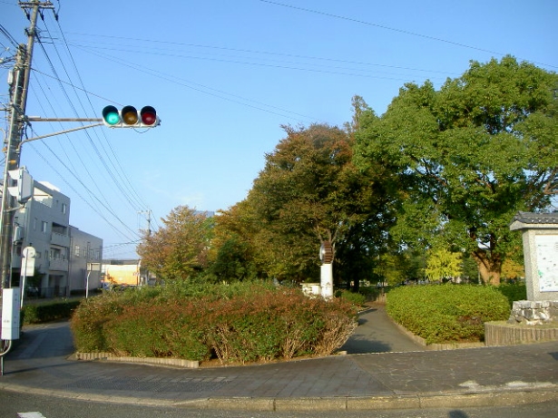 街路の生垣・植栽の管理