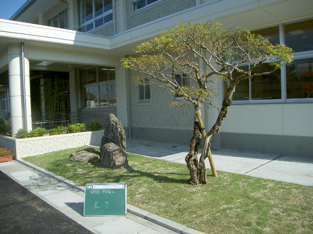 施設前のシンボルツリー植栽
